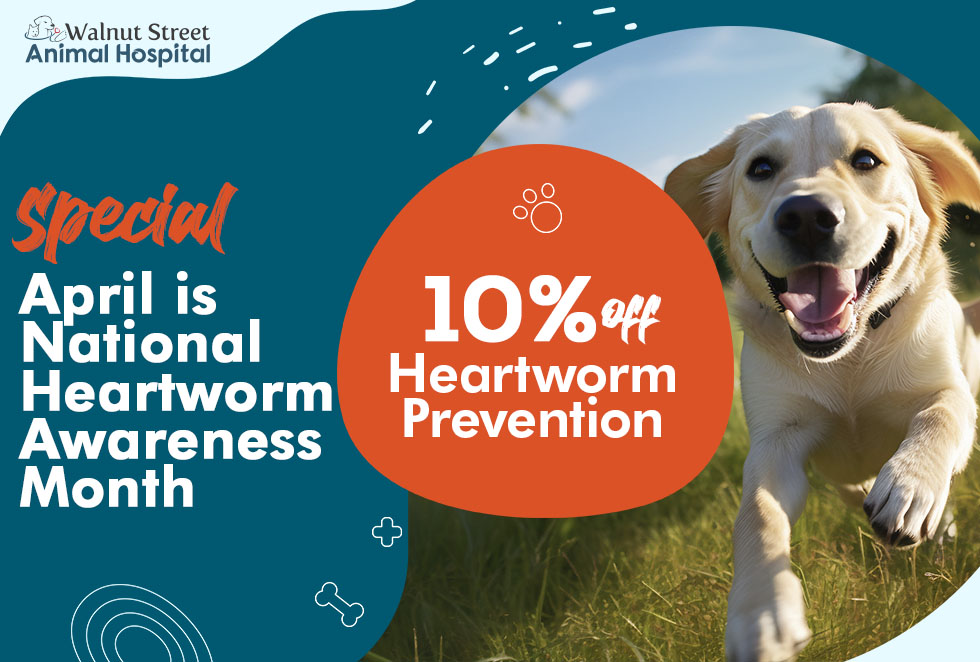 April is National Heartworm Awareness Month - 10% Off Heartworm Prevention