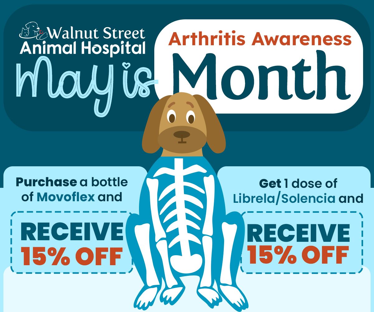 May is Arthritis Awareness Month Pop-up