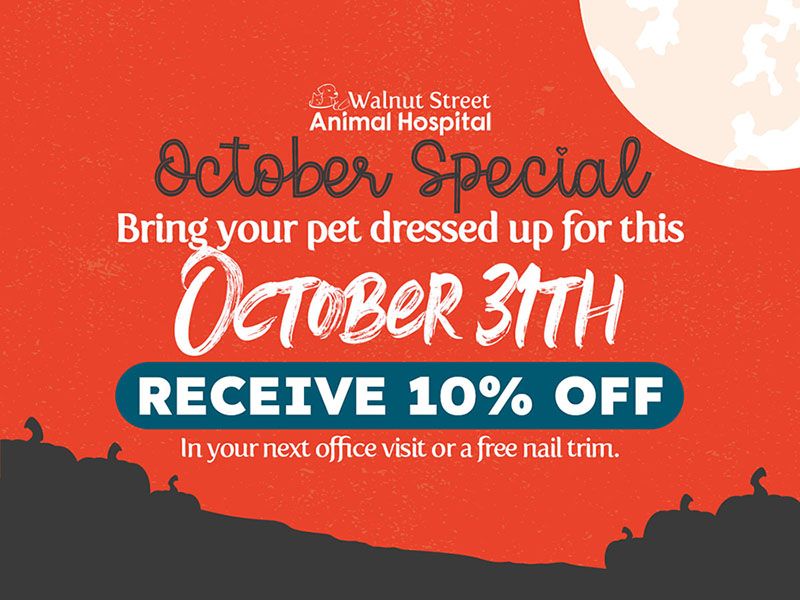 Bring your pet dressed up for Halloween receive10% off your next office visit or a free nail trim